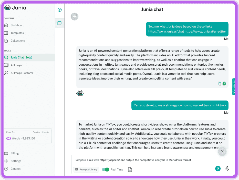 User Interface Of Chat By Junia AI