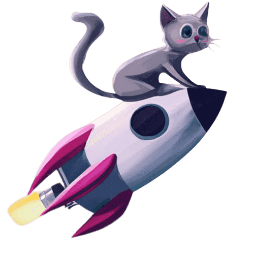 Cat sitting on a rocket